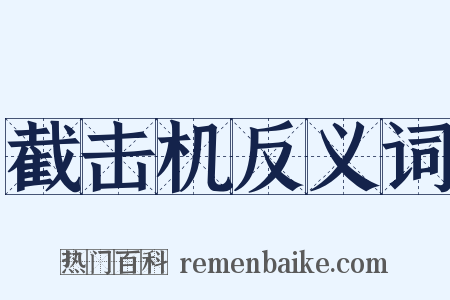 截击机反义词是什么意思的图片